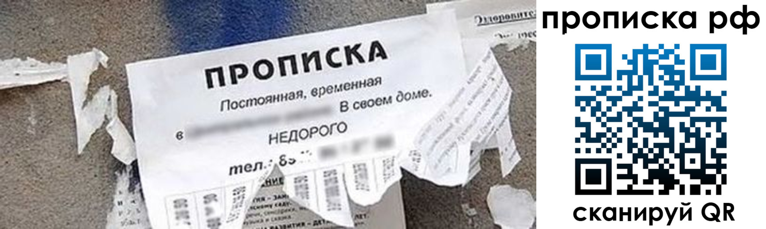 где прописаться в Ворсме